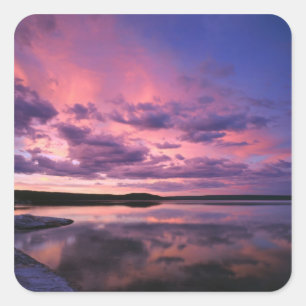 Yellowstone National Park, Wyoming. USA. Fyrkantigt Klistermärke