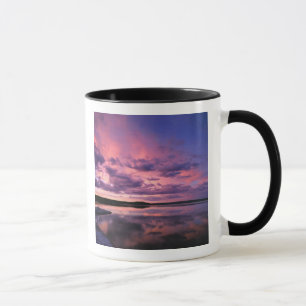 Yellowstone National Park, Wyoming. USA. Mugg
