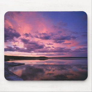 Yellowstone National Park, Wyoming. USA. Musmatta
