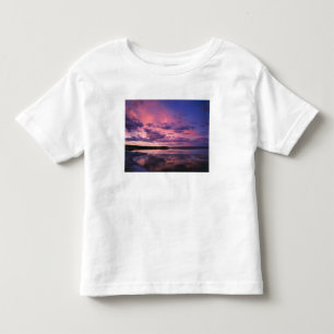 Yellowstone National Park, Wyoming. USA. T-shirt