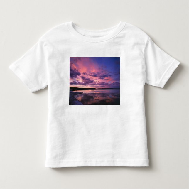 Yellowstone National Park, Wyoming. USA. Tee (Framsida)