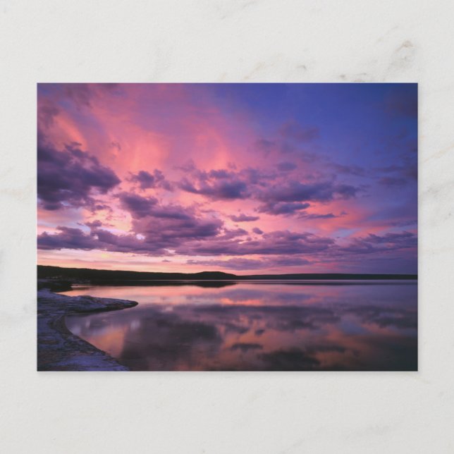 Yellowstone National Park, Wyoming. USA. Vykort (Framsida)