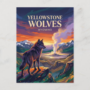 Yellowstone National Park Wyoming Vykort