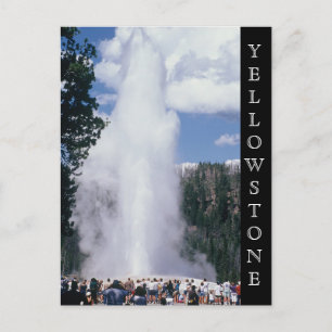 Yellowstone nationalpark Gamla Faithful Postcard Vykort