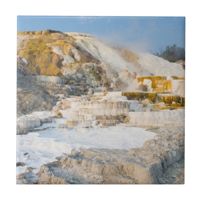 Yellowstone nationalpark kakelplatta (Framsidan)
