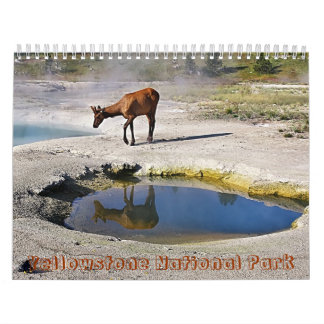 Yellowstone nationalpark kalender