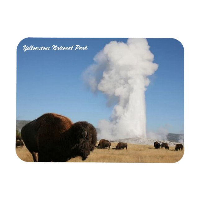 Yellowstone nationalpark magnet (Horisontell)