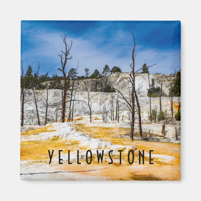 Yellowstone nationalpark magnet (Framsidan)