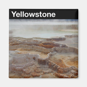 Yellowstone nationalpark magnet
