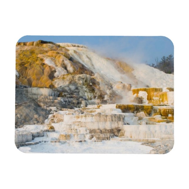 Yellowstone nationalpark magnet (Horisontell)