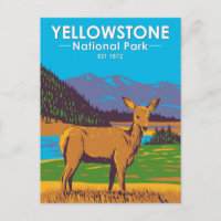 Yellowstone Nationalpark Mule Deer Vintage