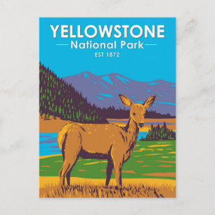 Yellowstone Nationalpark Mule Deer Vintage Vykort
