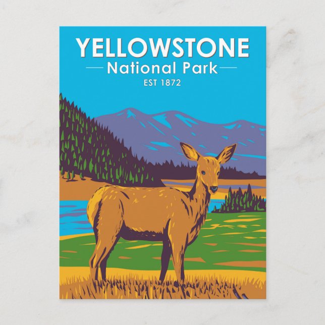 Yellowstone Nationalpark Mule Deer Vintage Vykort (Framsida)
