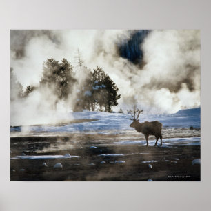 Yellowstone nationalpark poster