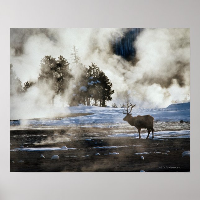Yellowstone nationalpark poster (Framsidan)