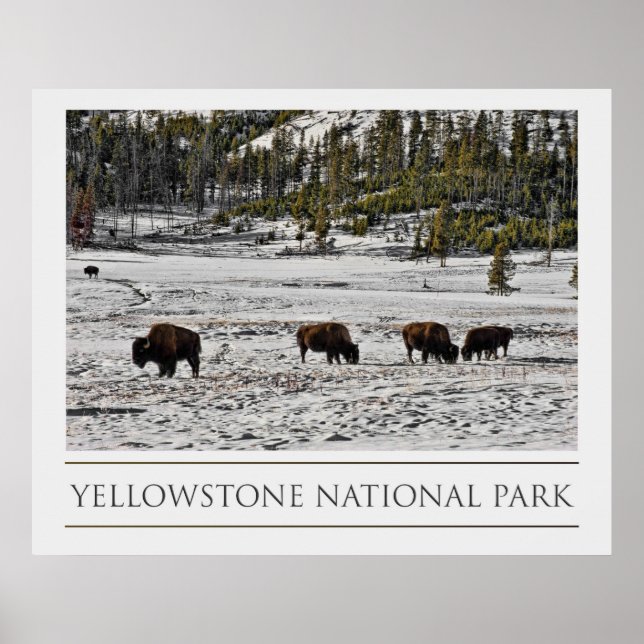 Yellowstone nationalpark poster (Framsidan)