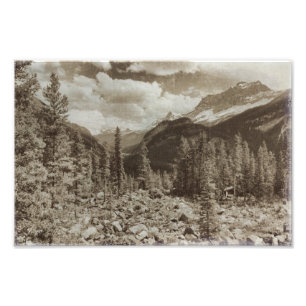 Yellowstone nationalpark Sepia Wyoming liggande Fototryck