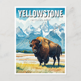 Yellowstone nationalpark Souvenir Vykort