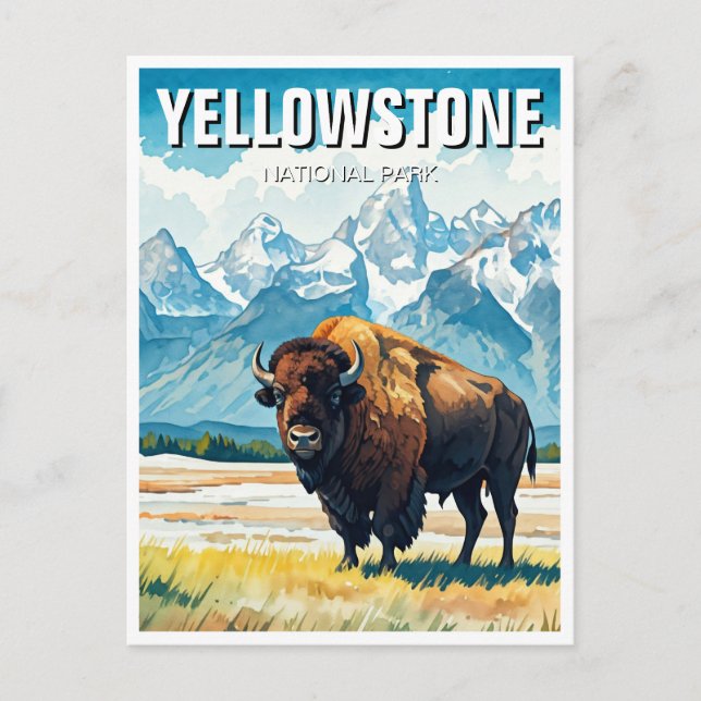 Yellowstone nationalpark Souvenir Vykort (Framsida)
