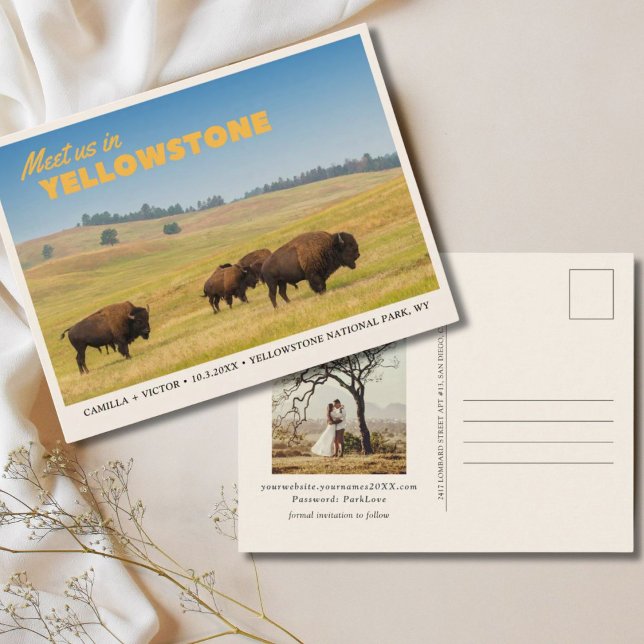 Yellowstone nationalpark Spara vykortet för datum Vykort (Yellowstone National Park Save the Date Postcard)
