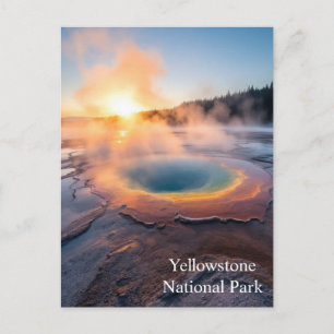 Yellowstone nationalpark vykort