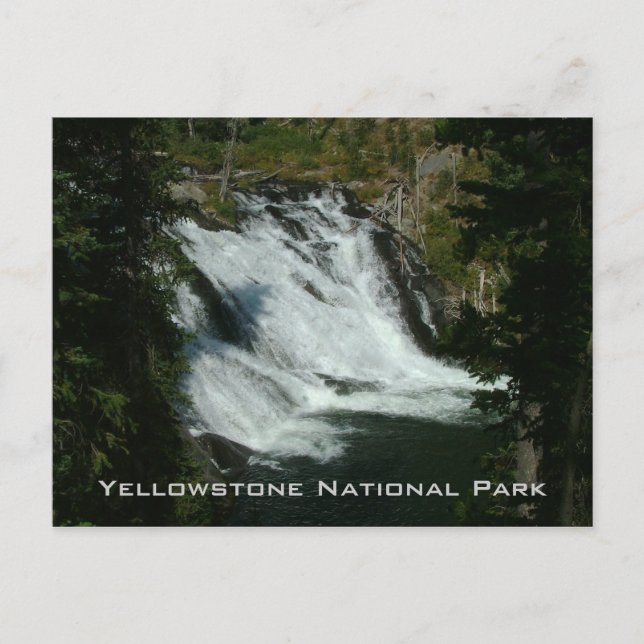 Yellowstone nationalpark vykort (Framsida)