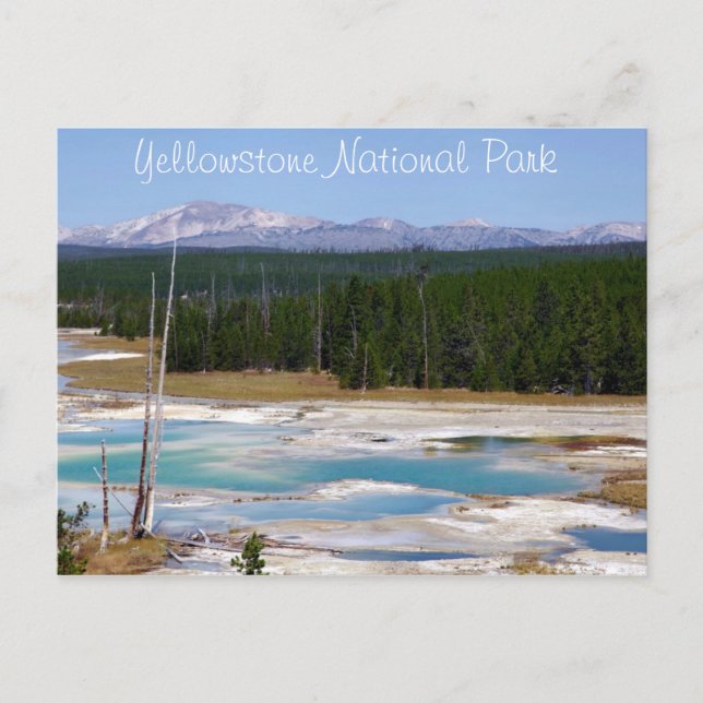 Yellowstone Nationalpark Vykort (Framsida)