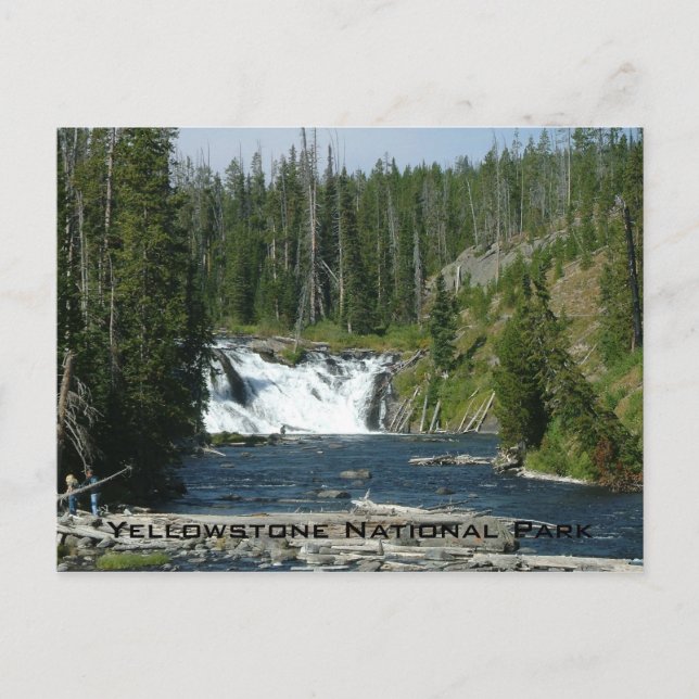 Yellowstone nationalpark vykort (Framsida)