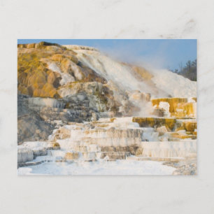 Yellowstone nationalpark vykort
