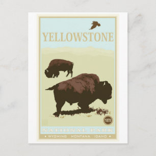 Yellowstone nationalpark vykort