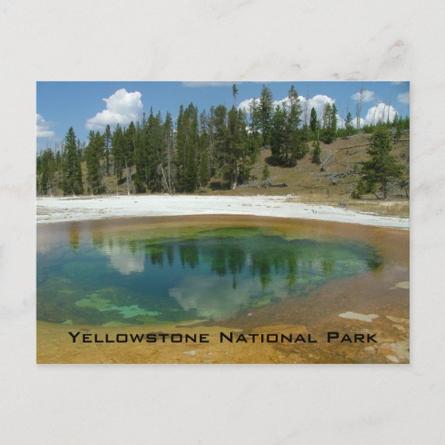 Yellowstone nationalpark vykort (Framsida)