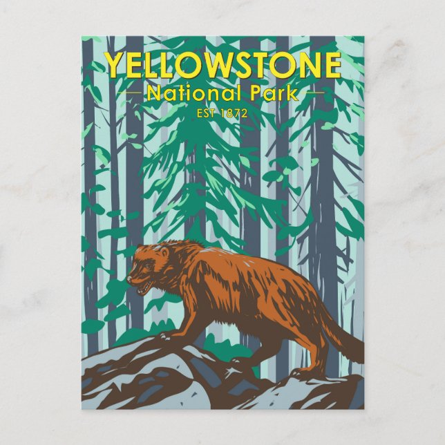 Yellowstone Nationalpark Wolverine Vintage Vykort (Framsida)