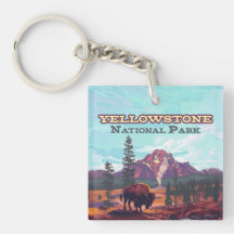 Yellowstone nationalpark Wyoming Bison Geyser