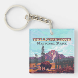 Yellowstone nationalpark Wyoming Bison Geyser
