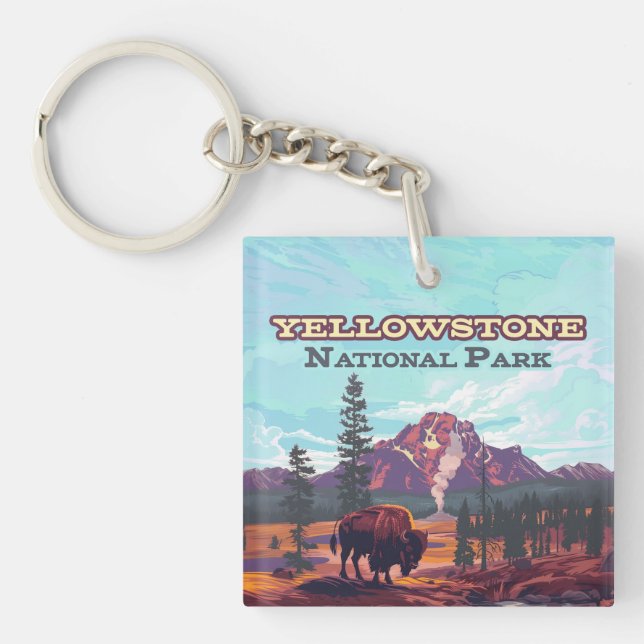 Yellowstone nationalpark Wyoming Bison Geyser (Framsidan)