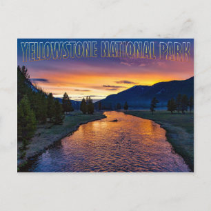 Yellowstone nationalpark Wyoming vid Sunset Stream Vykort