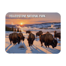 Yellowstone nationalparksbison magnet
