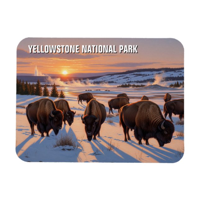Yellowstone nationalparksbison magnet (Horisontell)