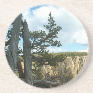 Yellowstone nationalparksfotografi. underlägg sandsten