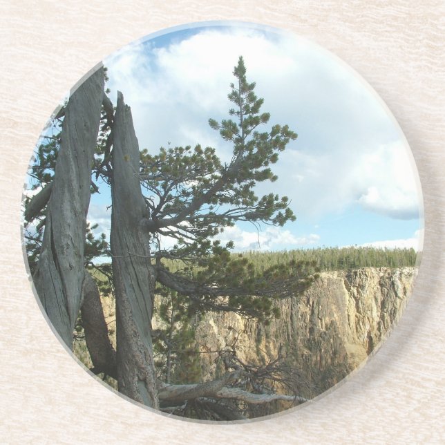 Yellowstone nationalparksfotografi. underlägg sandsten (Framsidan)