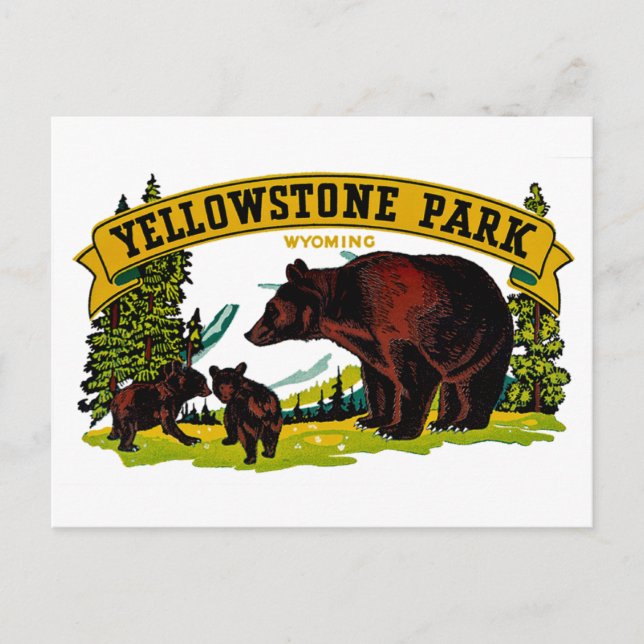 Yellowstone Park Vykort (Framsida)