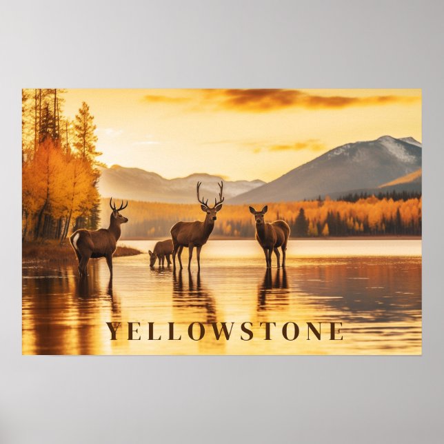 Yellowstone Poster Art (Framsidan)