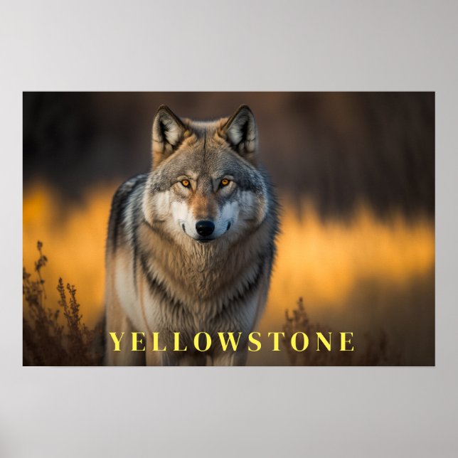 Yellowstone Poster Art (Framsidan)