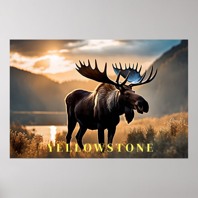 Yellowstone Poster Art (Framsidan)