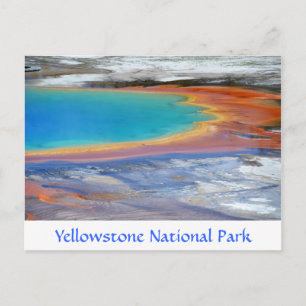 Yellowstone Prismatic Vår Wyoming-postkort Vykort