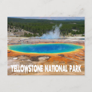 Yellowstone Prismatic Vår Wyoming, USA Vykort
