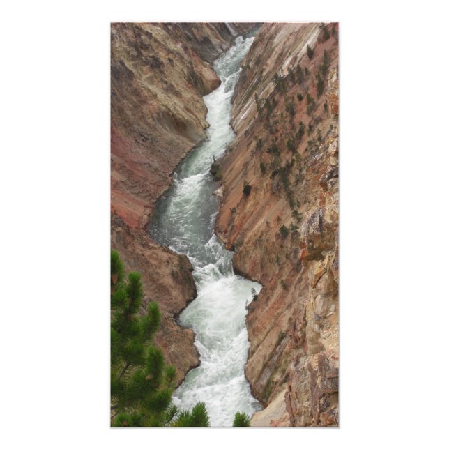 Yellowstone River Photo Print Fototryck (Framsidan)
