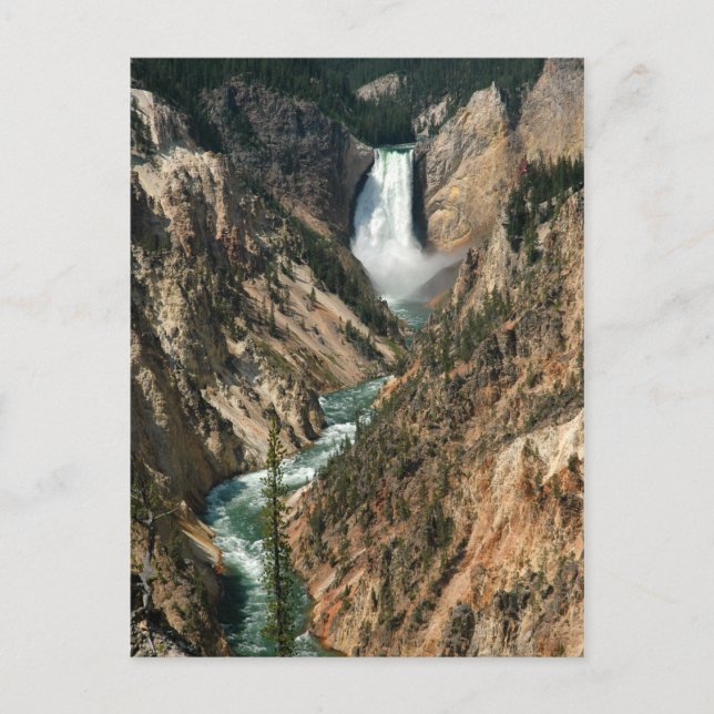 Yellowstone River Waterfall Vykort (Framsida)
