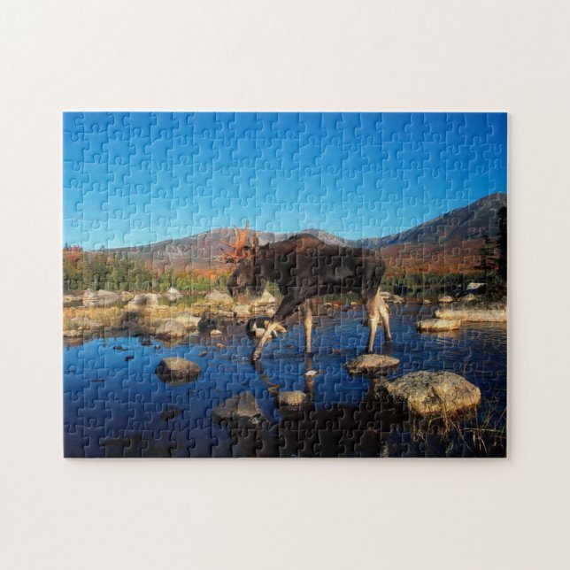 Yellowstone Spel Pussel (Horisontell)