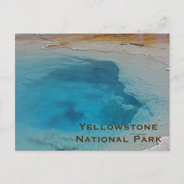 Yellowstone Stunning Blue Bassäng Photo nationalpa Vykort (Framsida)